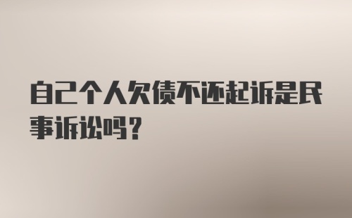 自己个人欠债不还起诉是民事诉讼吗？