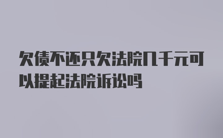 欠债不还只欠法院几千元可以提起法院诉讼吗