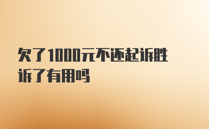 欠了1000元不还起诉胜诉了有用吗