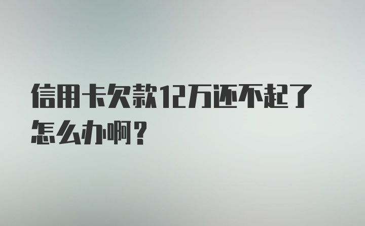 信用卡欠款12万还不起了怎么办啊？