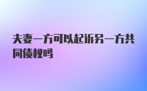 夫妻一方可以起诉另一方共同债权吗