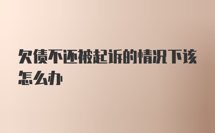 欠债不还被起诉的情况下该怎么办