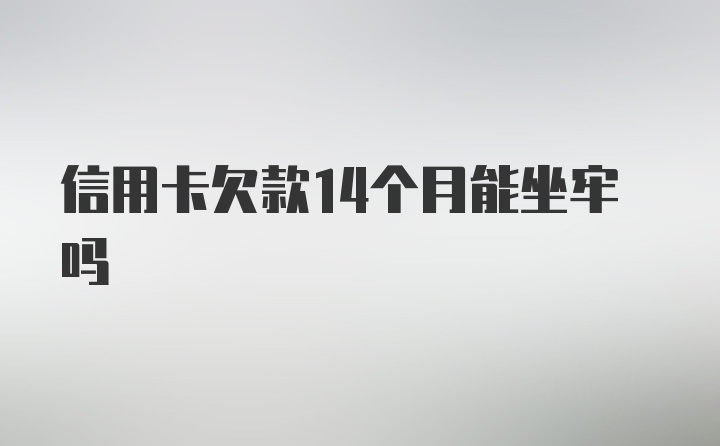 信用卡欠款14个月能坐牢吗