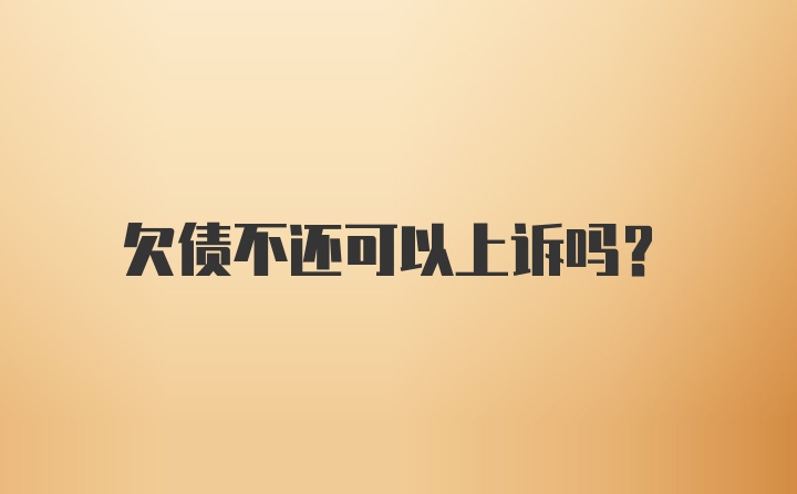 欠债不还可以上诉吗？