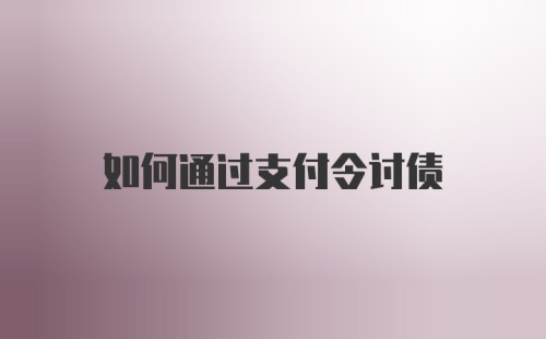 如何通过支付令讨债