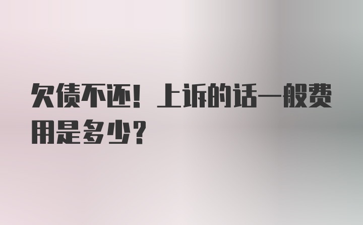 欠债不还！上诉的话一般费用是多少？