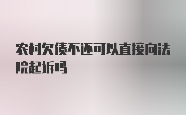 农村欠债不还可以直接向法院起诉吗