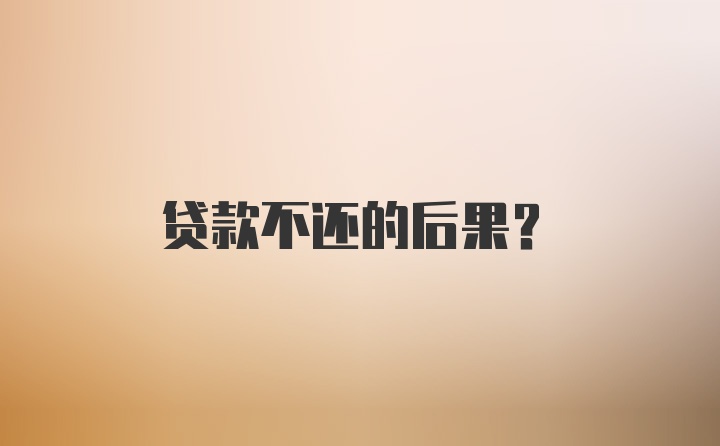 贷款不还的后果？