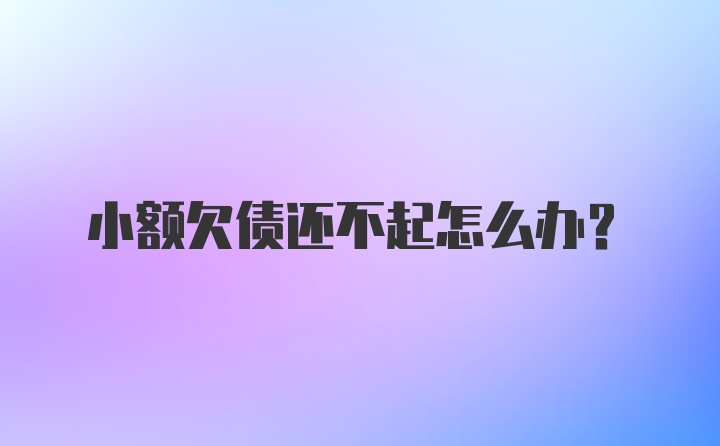 小额欠债还不起怎么办？