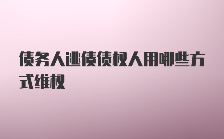 债务人逃债债权人用哪些方式维权