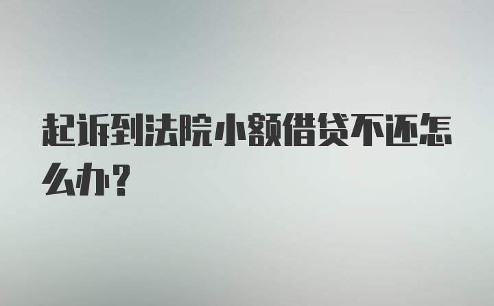 起诉到法院小额借贷不还怎么办？