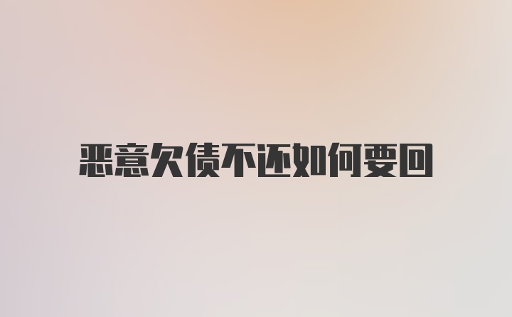 恶意欠债不还如何要回