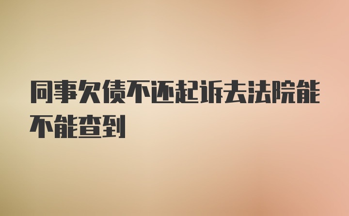 同事欠债不还起诉去法院能不能查到