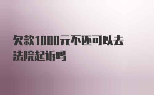 欠款1000元不还可以去法院起诉吗