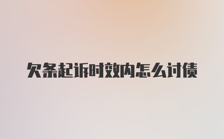 欠条起诉时效内怎么讨债