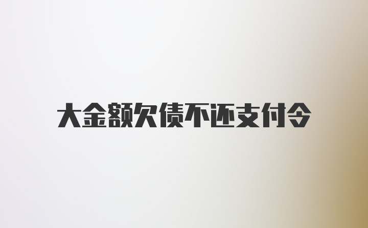 大金额欠债不还支付令