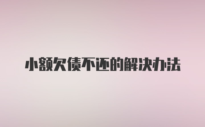 小额欠债不还的解决办法