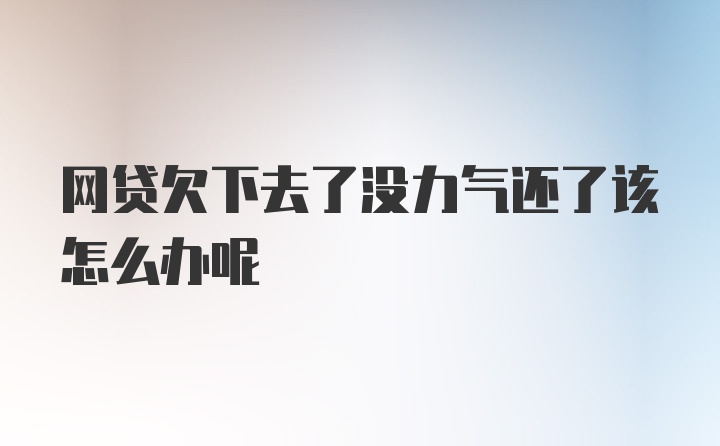 网贷欠下去了没力气还了该怎么办呢