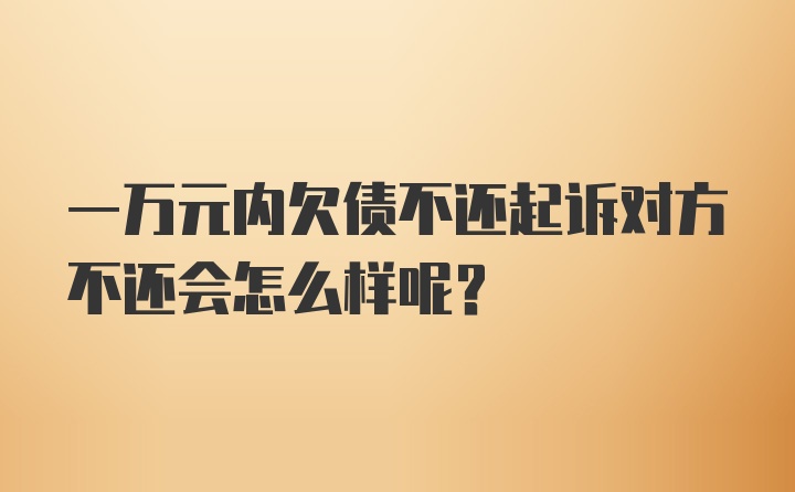 一万元内欠债不还起诉对方不还会怎么样呢？