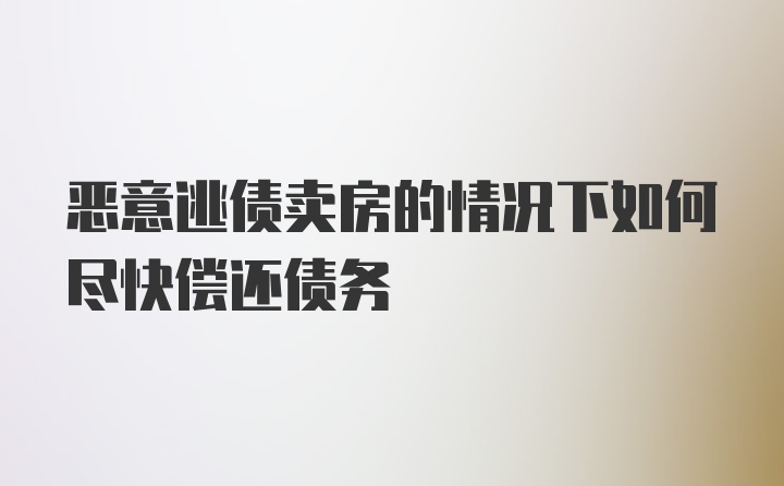 恶意逃债卖房的情况下如何尽快偿还债务