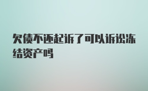 欠债不还起诉了可以诉讼冻结资产吗