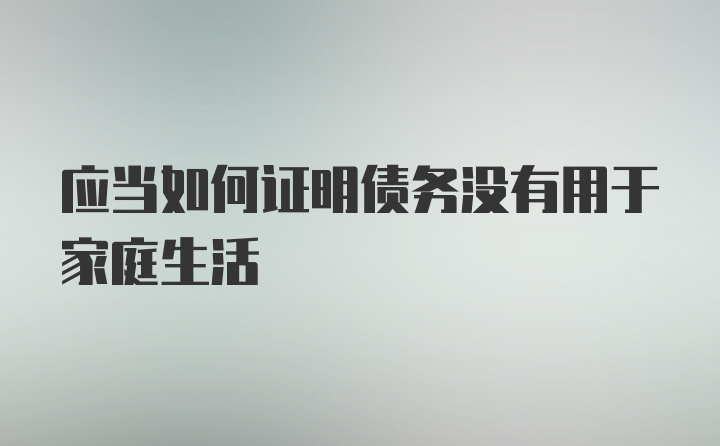 应当如何证明债务没有用于家庭生活