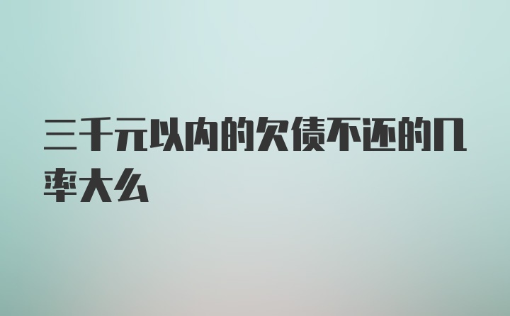 三千元以内的欠债不还的几率大么