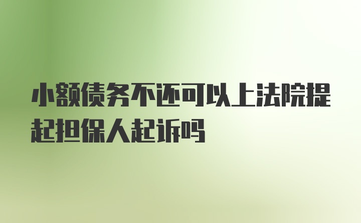 小额债务不还可以上法院提起担保人起诉吗