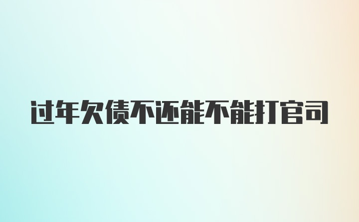 过年欠债不还能不能打官司