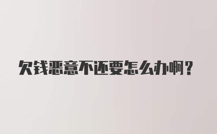 欠钱恶意不还要怎么办啊？