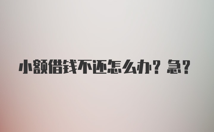 小额借钱不还怎么办？急?