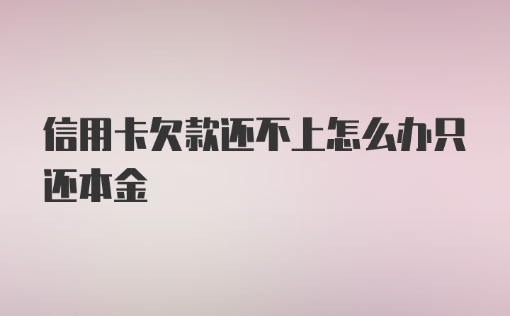 信用卡欠款还不上怎么办只还本金