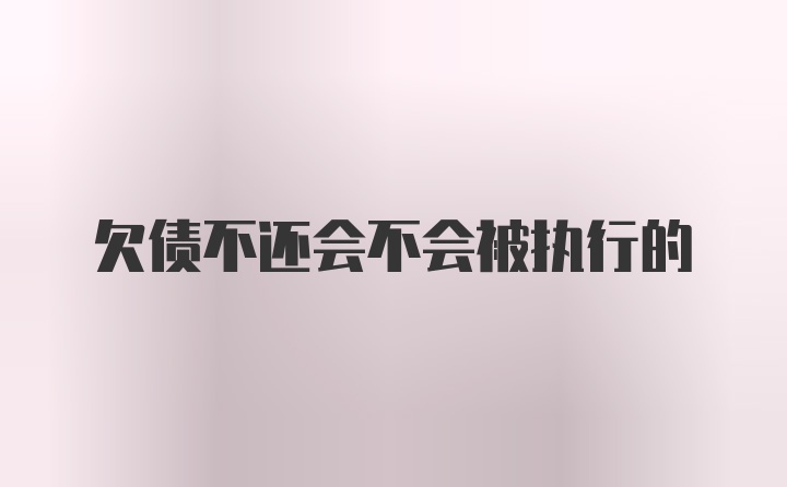 欠债不还会不会被执行的