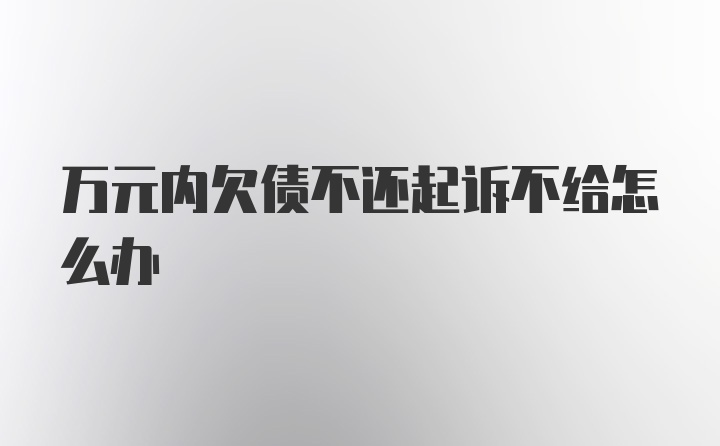 万元内欠债不还起诉不给怎么办