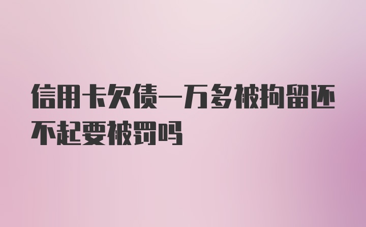 信用卡欠债一万多被拘留还不起要被罚吗