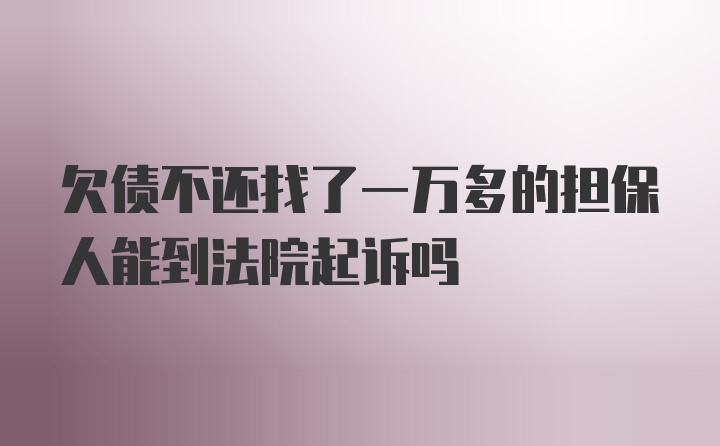 欠债不还找了一万多的担保人能到法院起诉吗