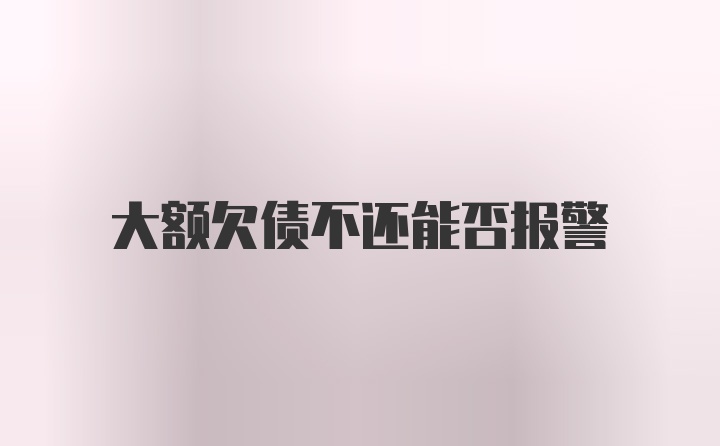 大额欠债不还能否报警