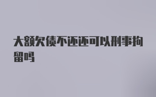 大额欠债不还还可以刑事拘留吗