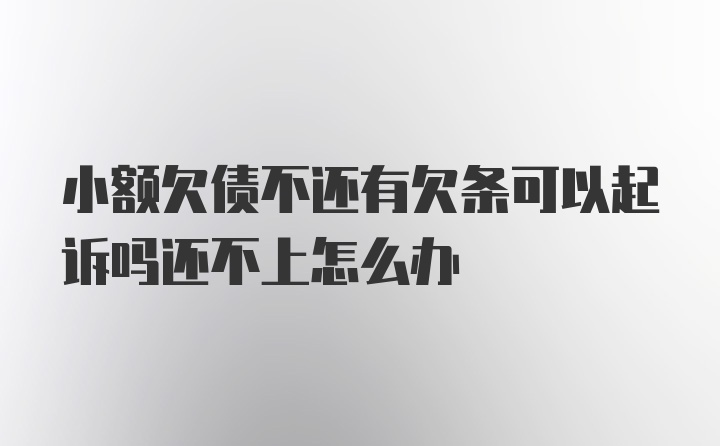 小额欠债不还有欠条可以起诉吗还不上怎么办