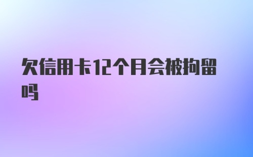 欠信用卡12个月会被拘留吗