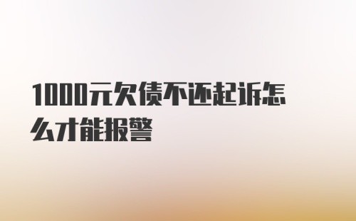 1000元欠债不还起诉怎么才能报警