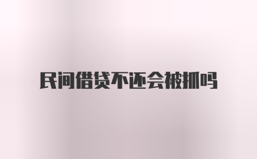 民间借贷不还会被抓吗