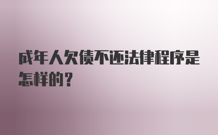 成年人欠债不还法律程序是怎样的？