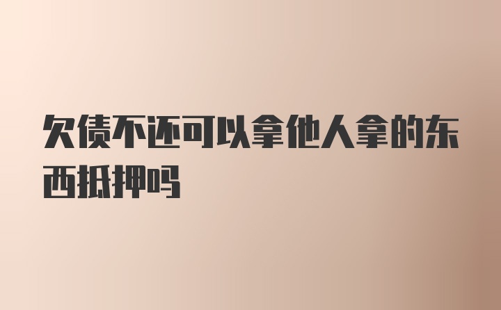 欠债不还可以拿他人拿的东西抵押吗