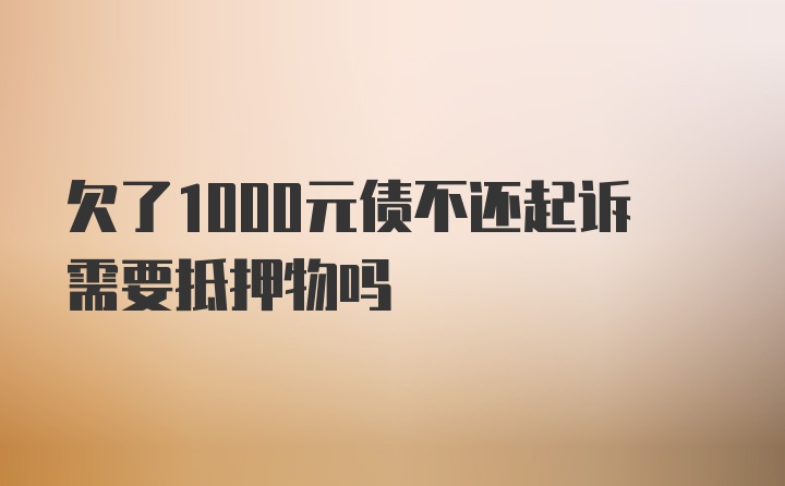 欠了1000元债不还起诉需要抵押物吗