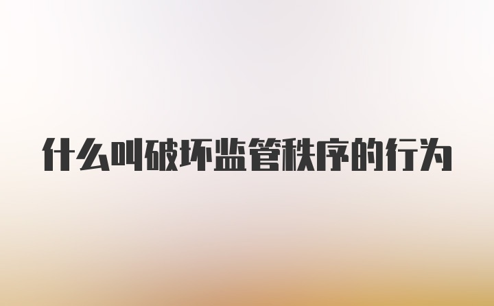 什么叫破坏监管秩序的行为