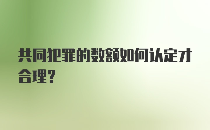 共同犯罪的数额如何认定才合理？