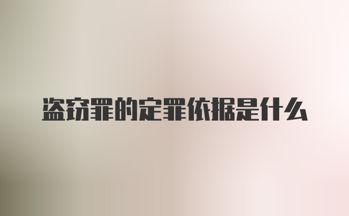 盗窃罪的定罪依据是什么