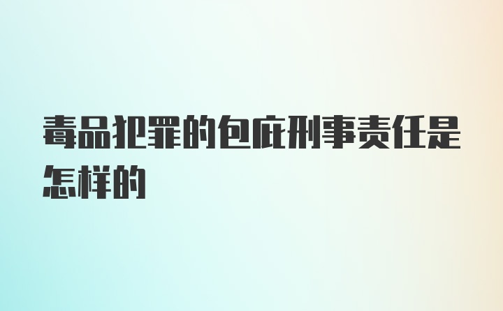 毒品犯罪的包庇刑事责任是怎样的