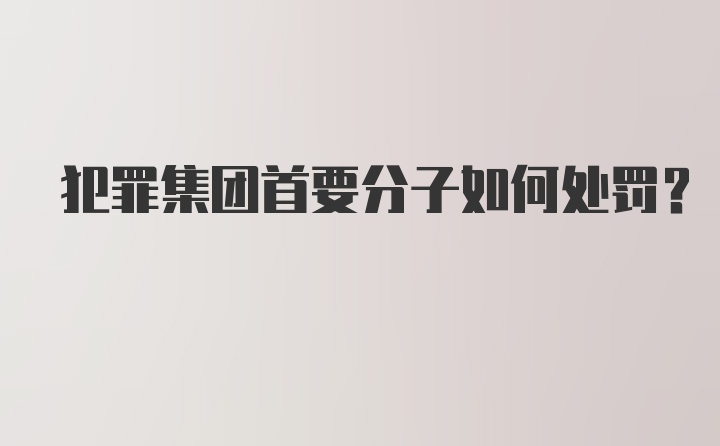 犯罪集团首要分子如何处罚？